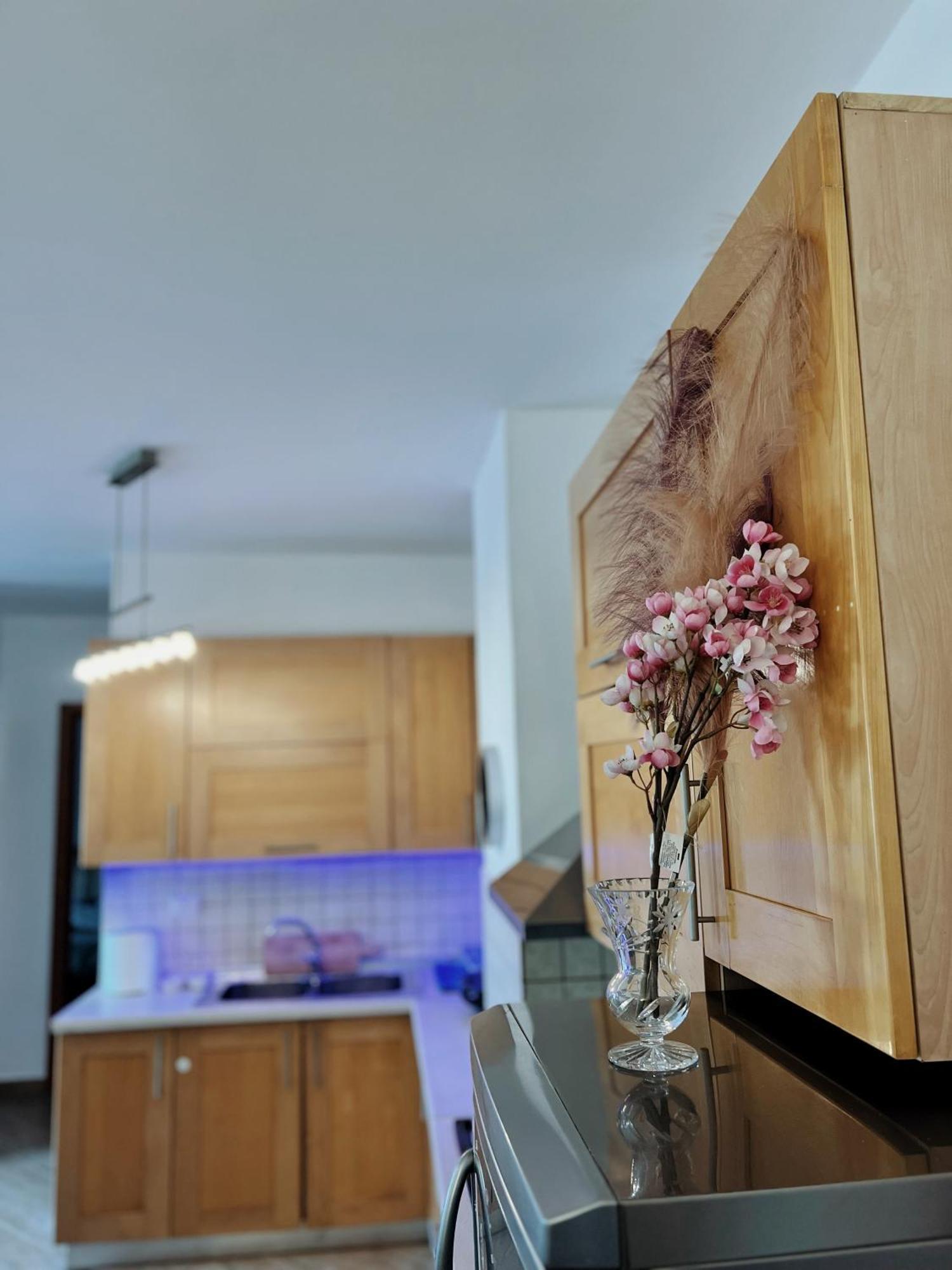 Lovely Apartment טיראנה מראה חיצוני תמונה